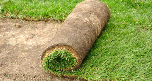 We provide professional lawn installation services at affordable prices.  Seed or sod, we've got you covered.  